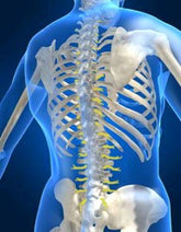 Vitamin D Deficiency MAJOR CAUSAL FACTOR in Musculoskeletal Pain